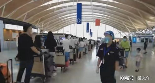 高额留学中介费引争议 诋毁普通家庭还是市场现实？