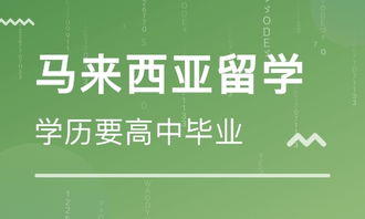 佛山芝诺日本留学中介 自费出国留学的可靠选择