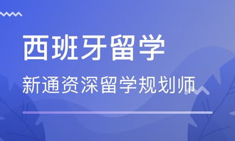 武汉西班牙留学中介 自费出国留学中介服务全指南